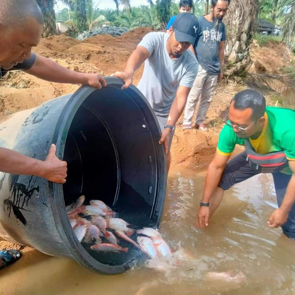 273275840_280407184187787_3407143917188031293_n