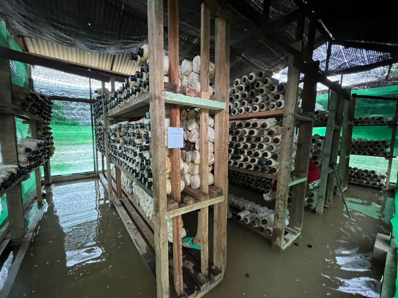 331779231_896752258320372_4411469801594278431_n