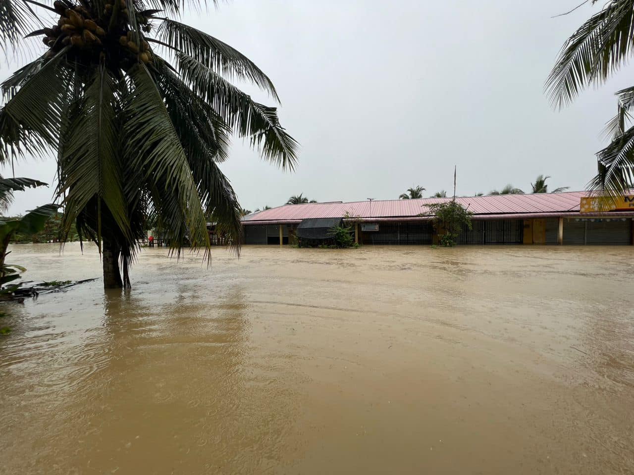 332498311_926961768496784_6199494267224057696_n