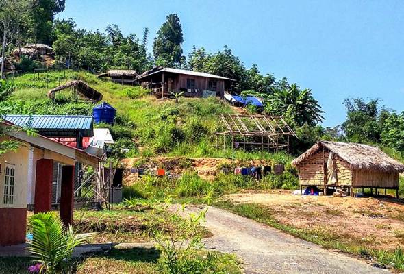 41589536052_OrangAsliGuaMusang