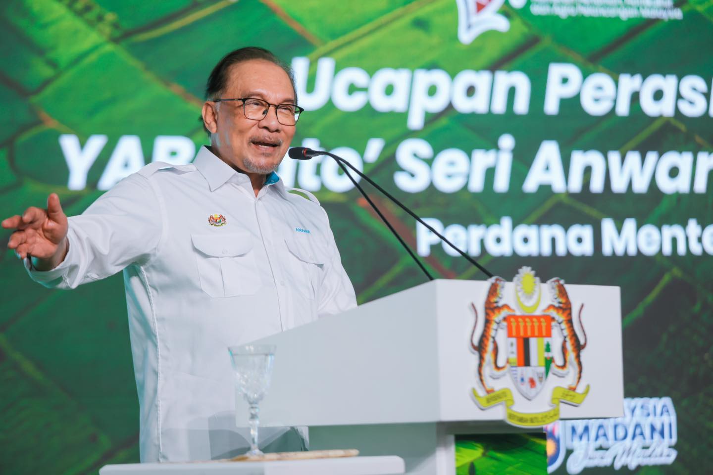 459737785_122130281996341114_3544124951481630277_n