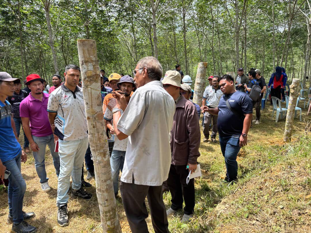 497224589_1261487509313582_6922419149394751646_n