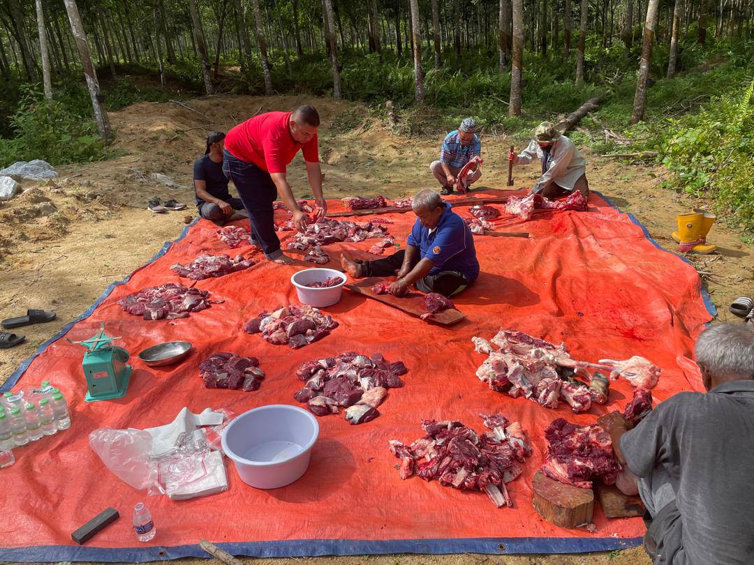 505893045_122212722986136912_1944251275405164330_n